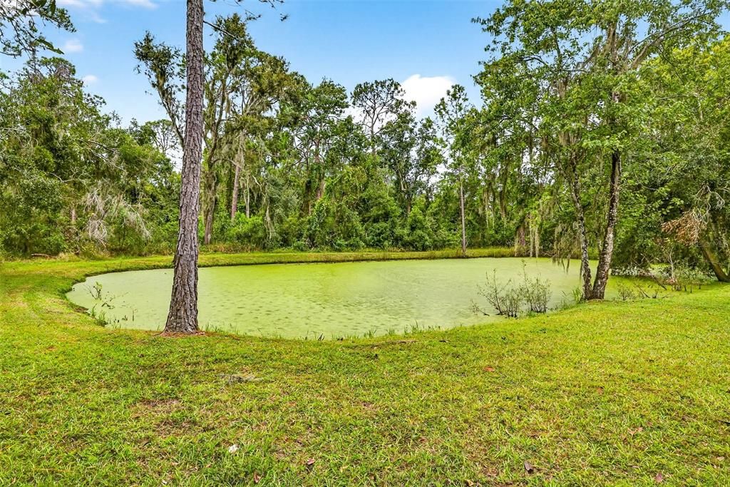 待售: $900,000 (4 贝兹, 3 浴室, 3378 平方英尺)