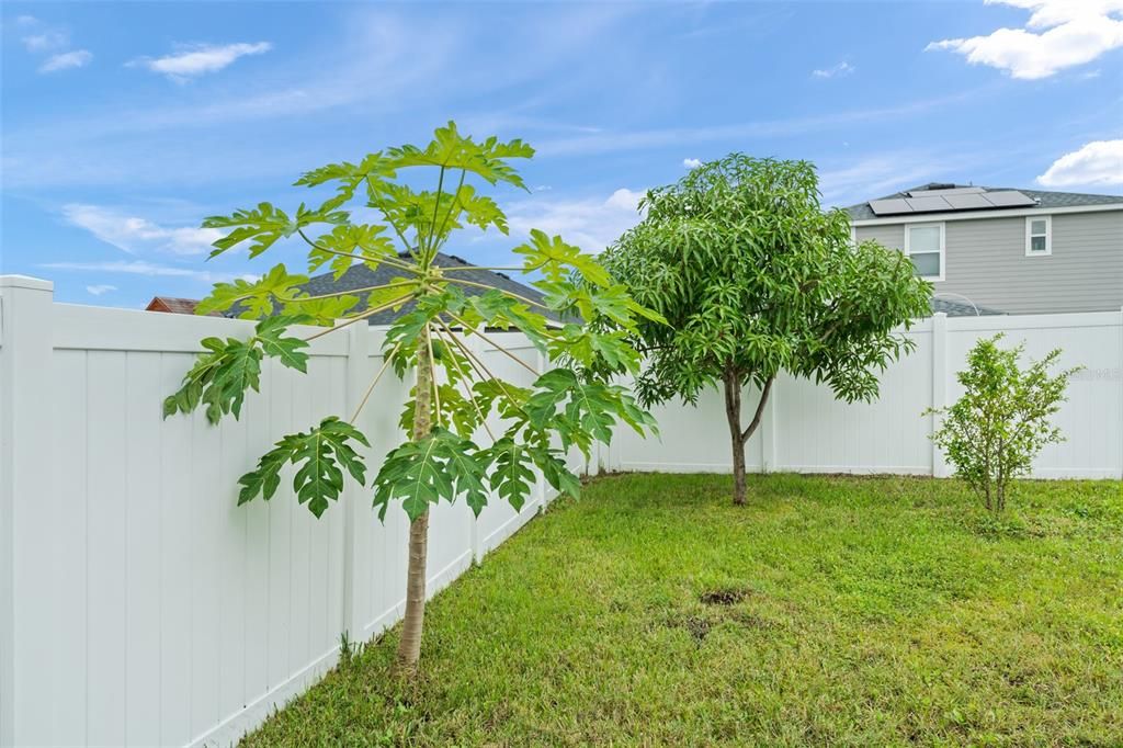 For Sale: $429,900 (4 beds, 2 baths, 2045 Square Feet)