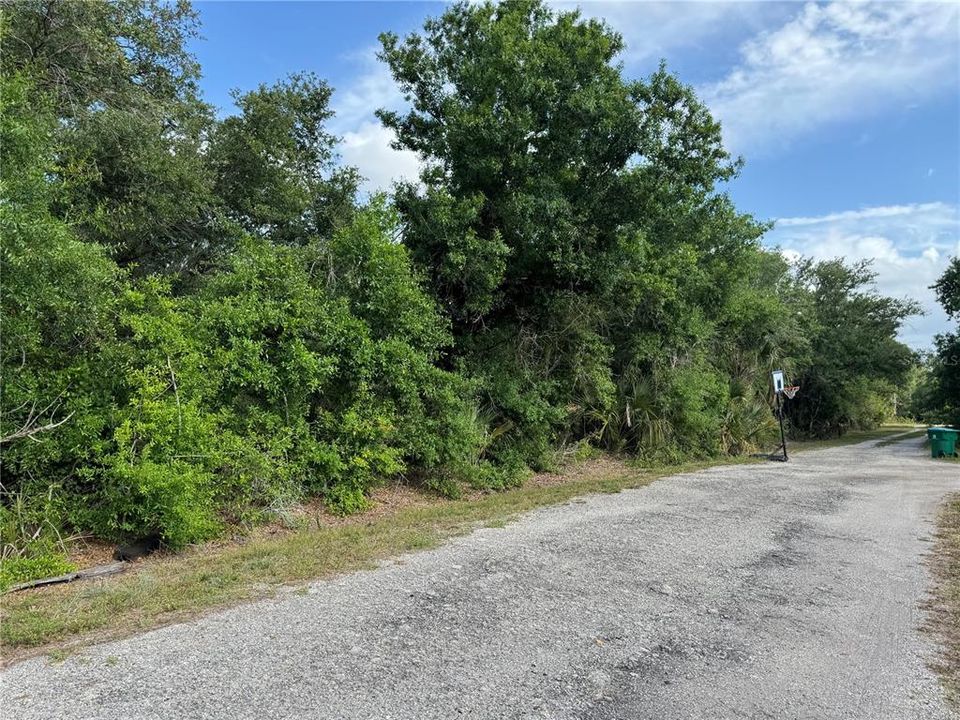 待售: $12,000 (0.17 acres)