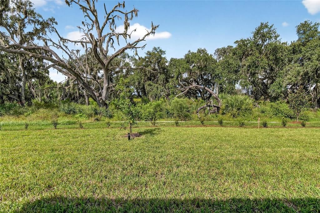 出租: $2,625 (3 贝兹, 2 浴室, 1565 平方英尺)