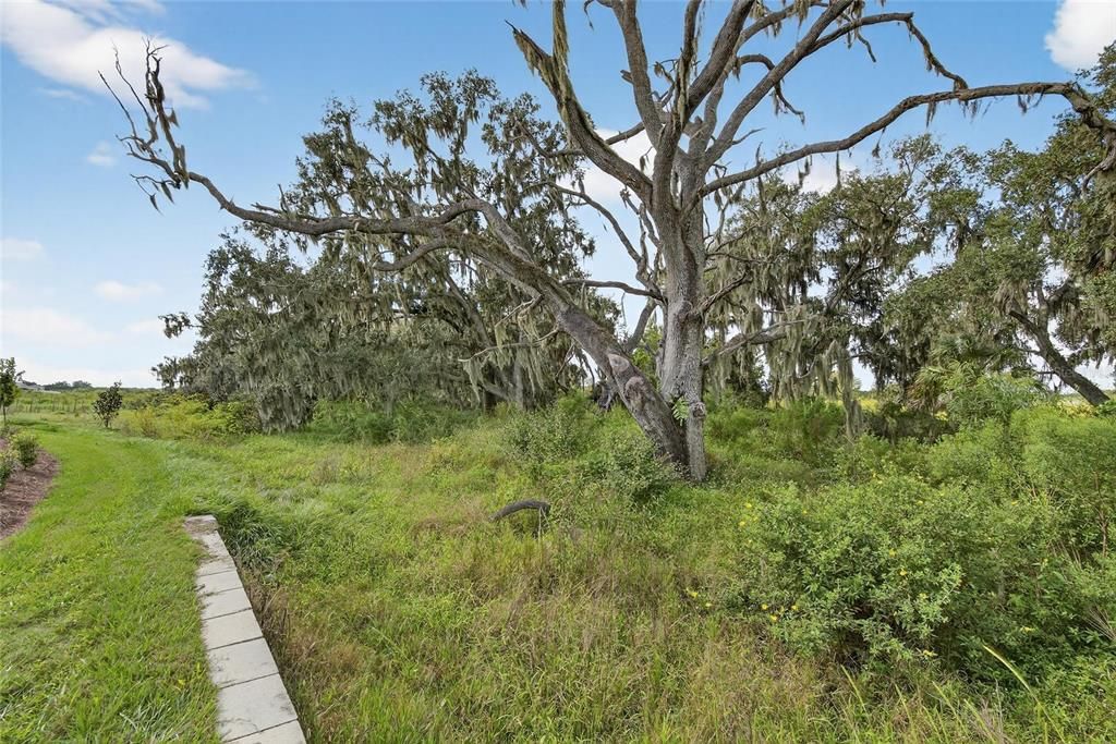 出租: $2,625 (3 贝兹, 2 浴室, 1565 平方英尺)