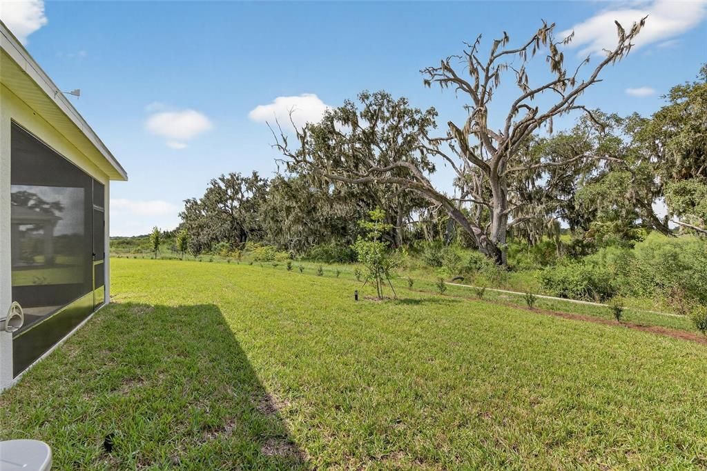 出租: $2,625 (3 贝兹, 2 浴室, 1565 平方英尺)