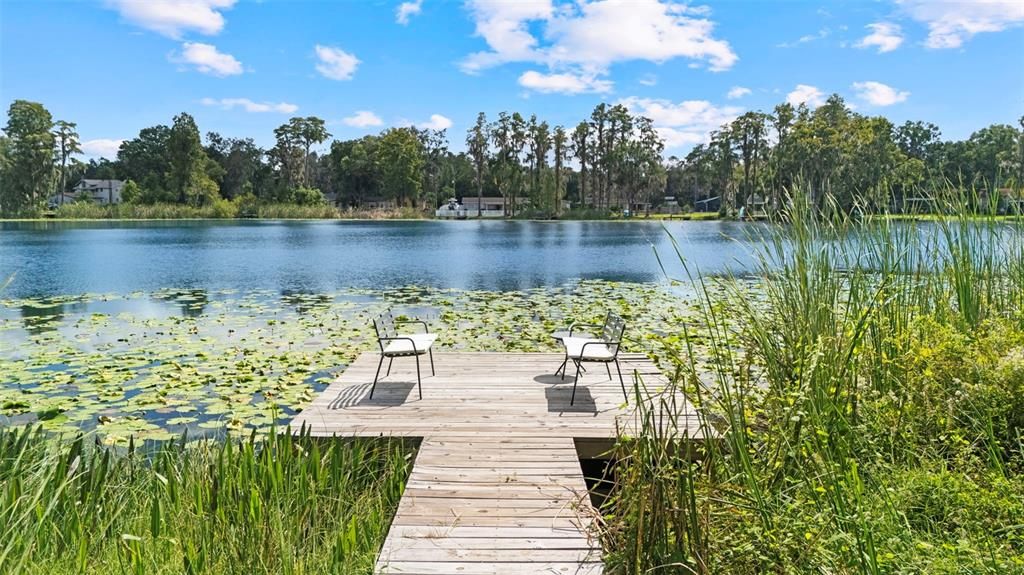 На продажу: $600,000 (4 спален, 2 ванн, 1736 Квадратных фут)