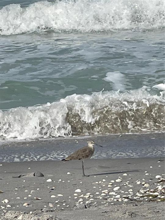 待售: $23,900 (0.25 acres)