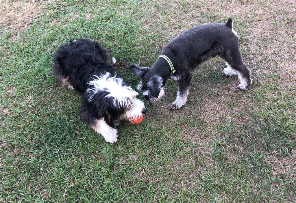 Active With Contract: $395,000 (3 beds, 3 baths, 2291 Square Feet)