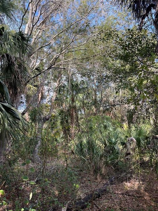 На продажу: $75,000 (2.08 acres)