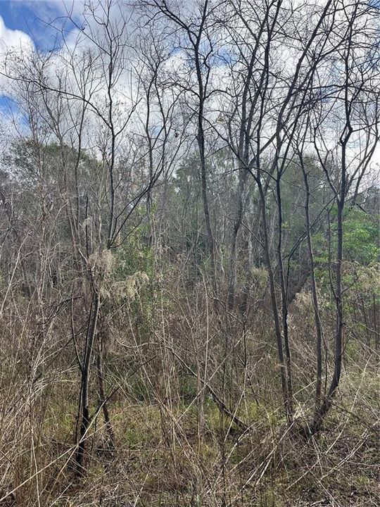 На продажу: $75,000 (2.08 acres)