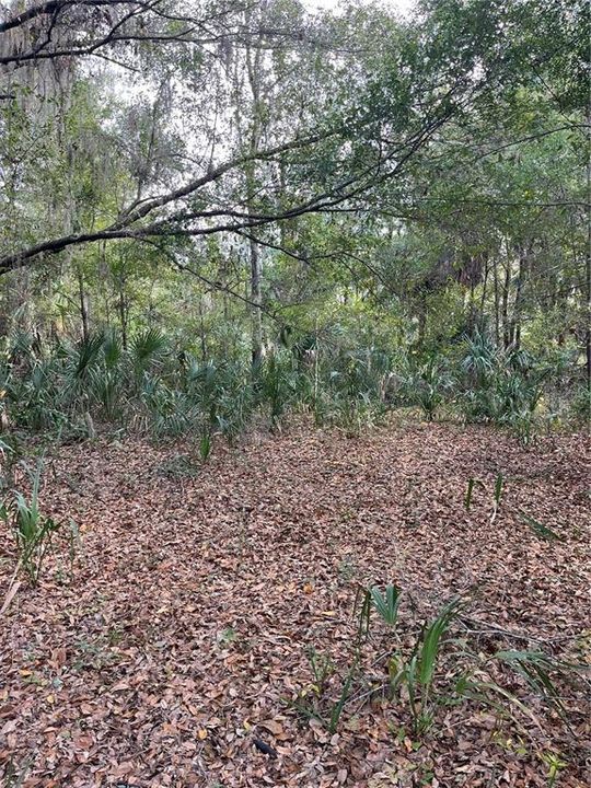 На продажу: $75,000 (2.08 acres)