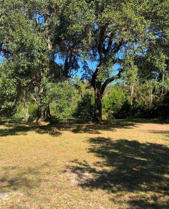 待售: $40,000 (1.32 acres)