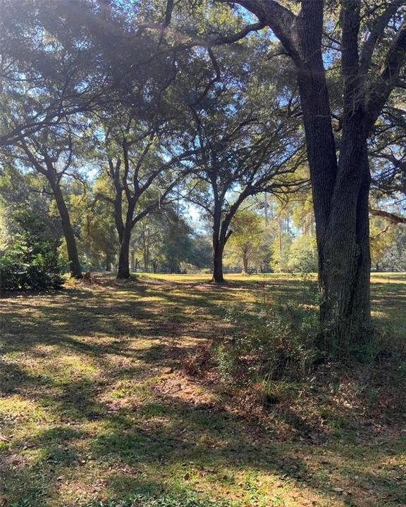 待售: $40,000 (1.32 acres)