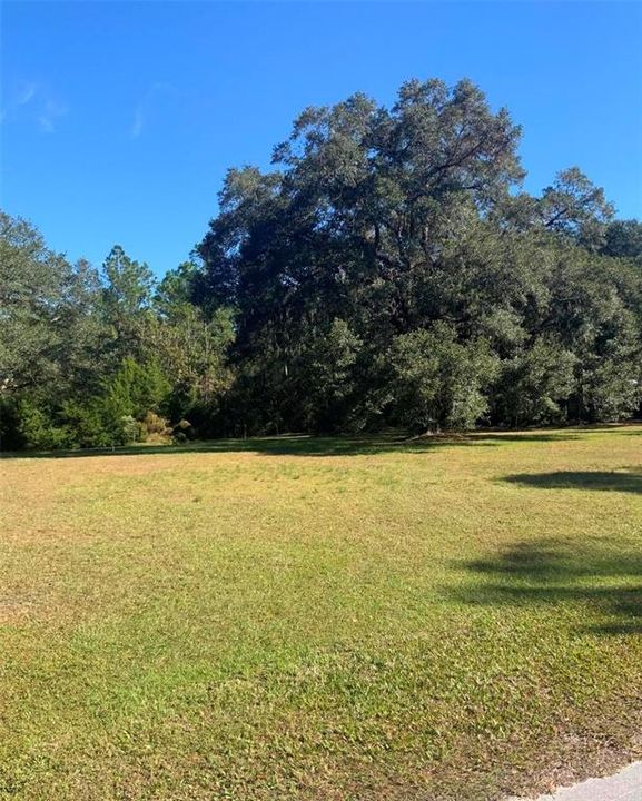 待售: $40,000 (1.32 acres)