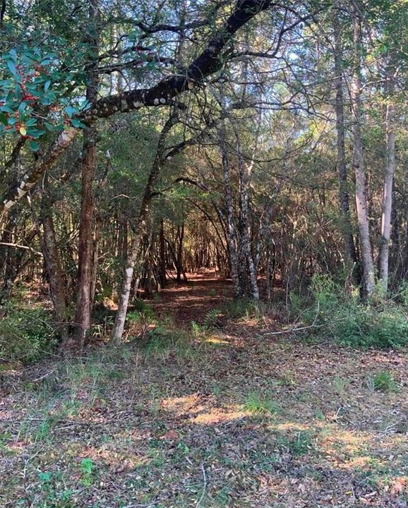 待售: $40,000 (1.32 acres)