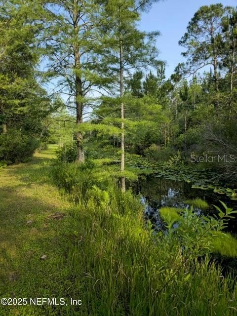 待售: $40,000 (1.32 acres)