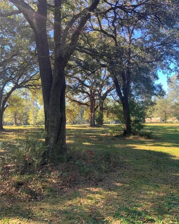 待售: $40,000 (1.32 acres)