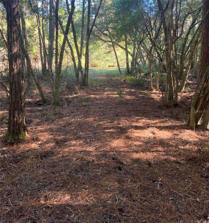 待售: $40,000 (1.32 acres)