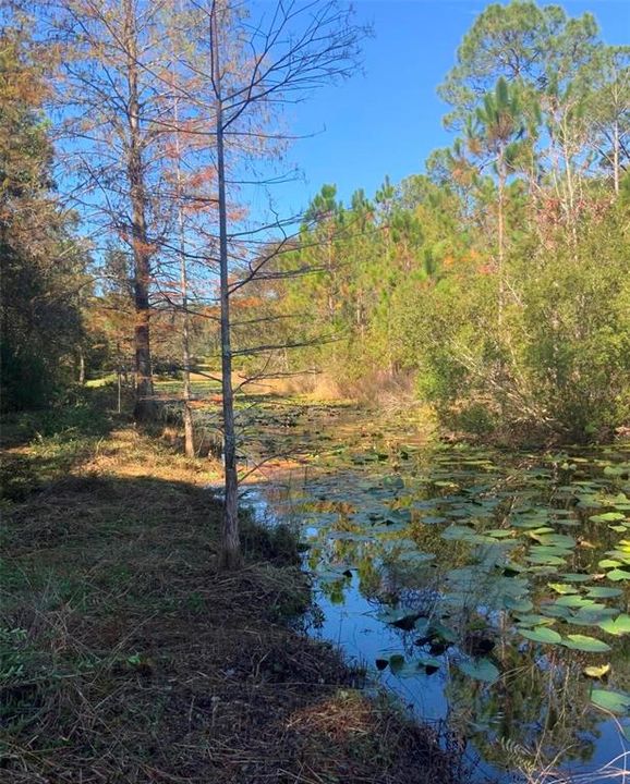 待售: $40,000 (1.32 acres)