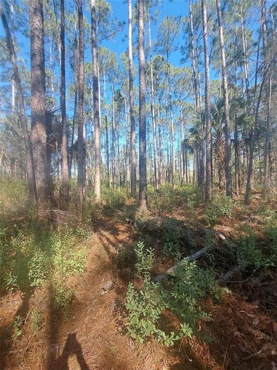 待售: $39,900 (1.05 acres)