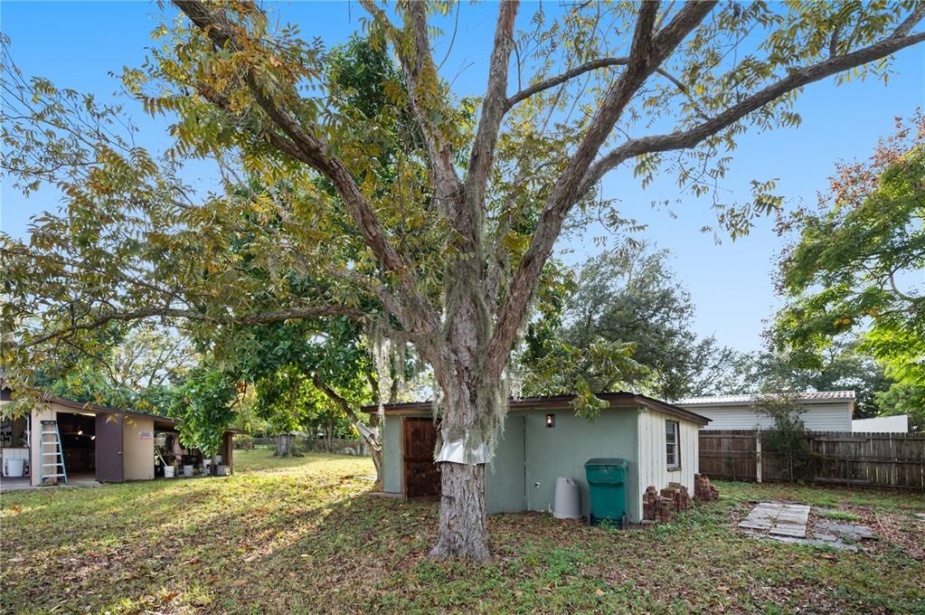 For Sale: $225,000 (3 beds, 1 baths, 1241 Square Feet)