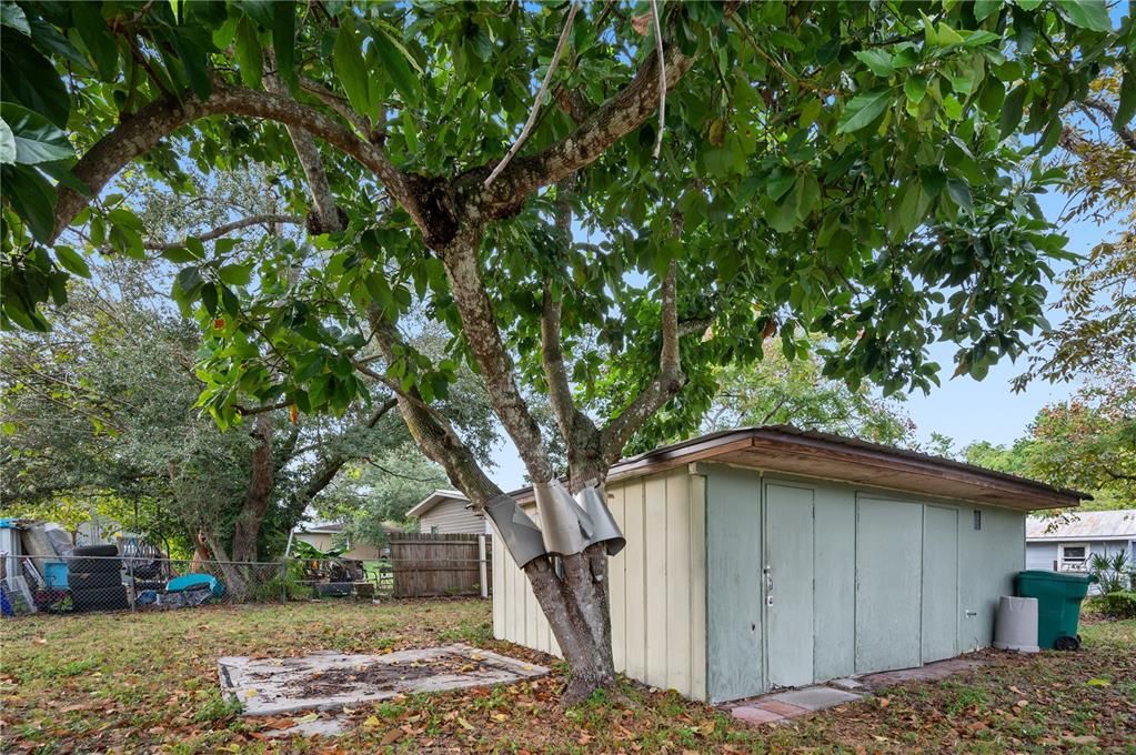 For Sale: $225,000 (3 beds, 1 baths, 1241 Square Feet)