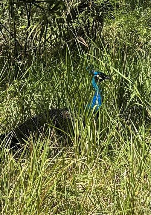 For Sale: $300,000 (1 beds, 1 baths, 672 Square Feet)