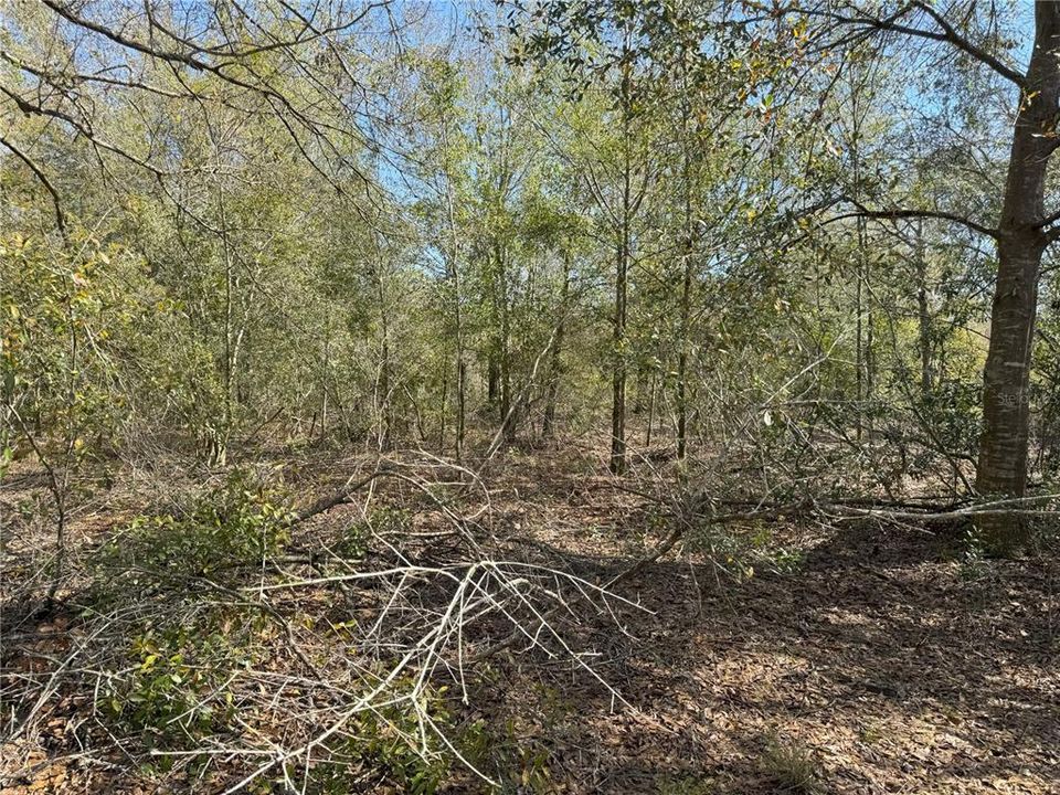 En Venta: $485,000 (26.74 acres)