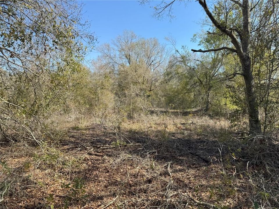 En Venta: $485,000 (26.74 acres)