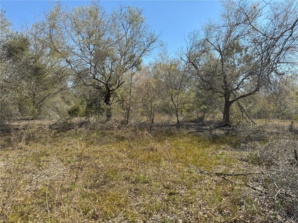 En Venta: $485,000 (26.74 acres)