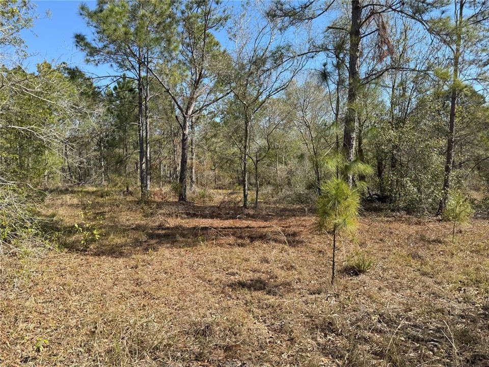 En Venta: $485,000 (26.74 acres)