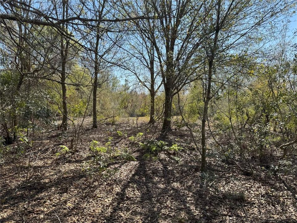 En Venta: $485,000 (26.74 acres)