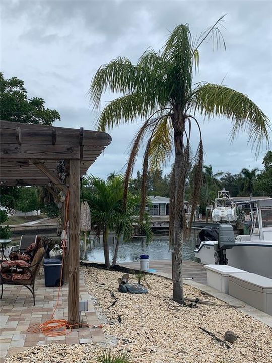 En Renta: $2,250 (1 camas, 1 baños, 520 Pies cuadrados)