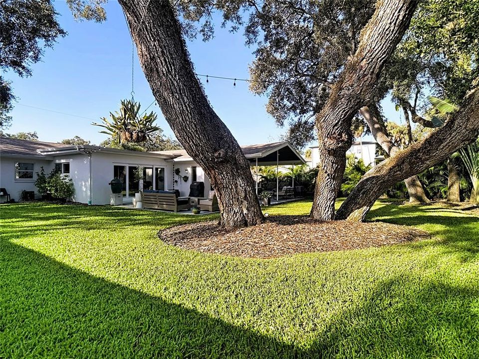 Под контрактом: $5,500 (3 спален, 2 ванн, 2378 Квадратных фут)