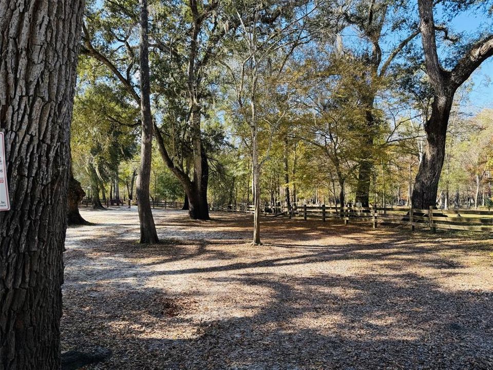 待售: $243,900 (3 贝兹, 2 浴室, 1560 平方英尺)