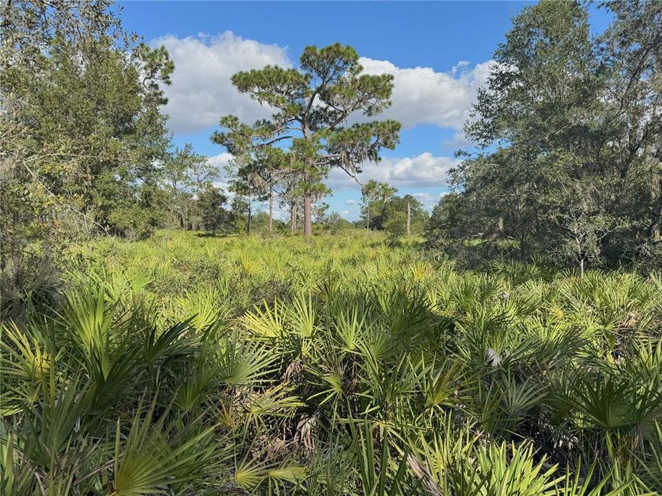 For Sale: $370,000 (20.40 acres)