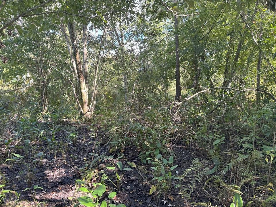 For Sale: $370,000 (20.40 acres)