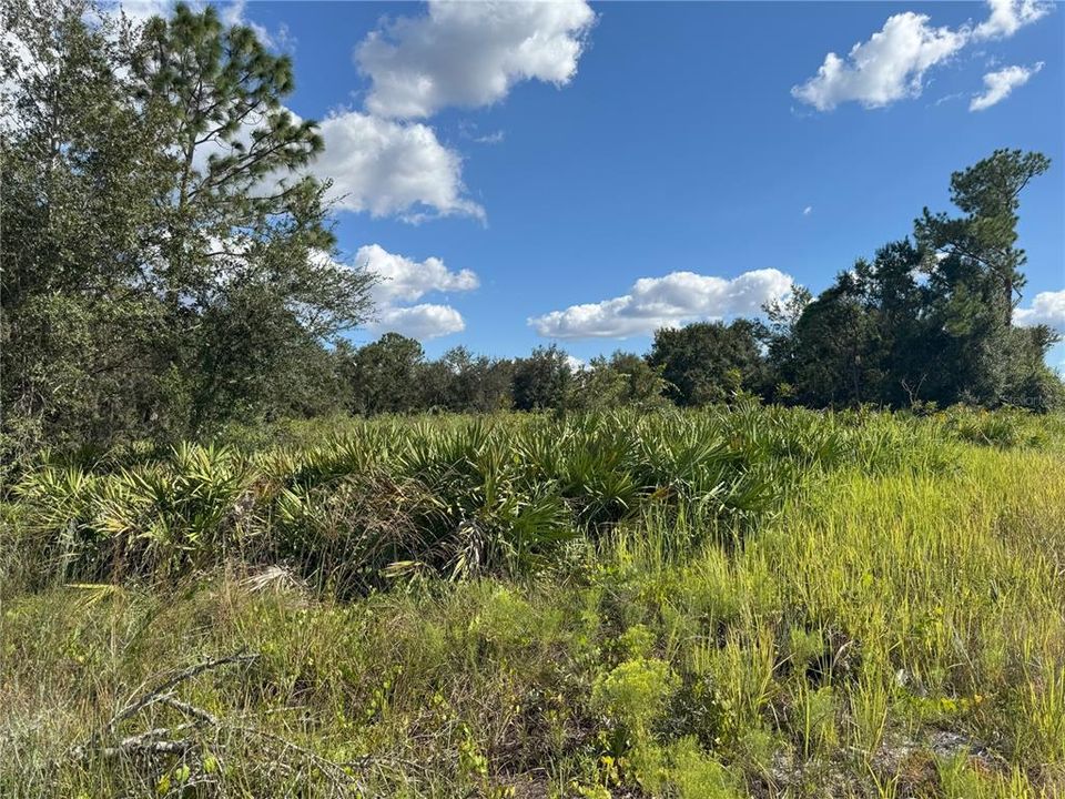 For Sale: $370,000 (20.40 acres)