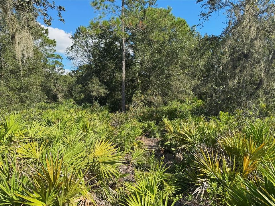 For Sale: $370,000 (20.40 acres)