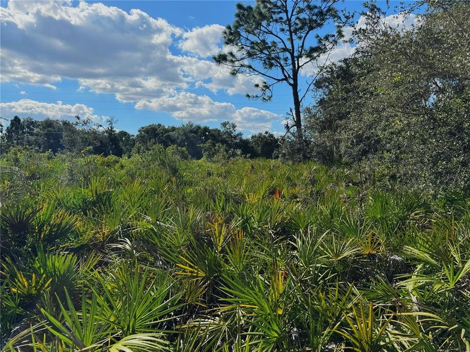 For Sale: $370,000 (20.40 acres)