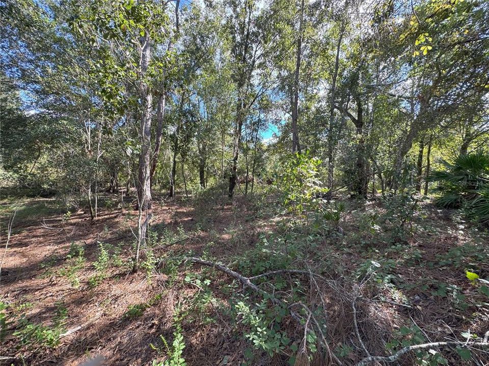 For Sale: $370,000 (20.40 acres)