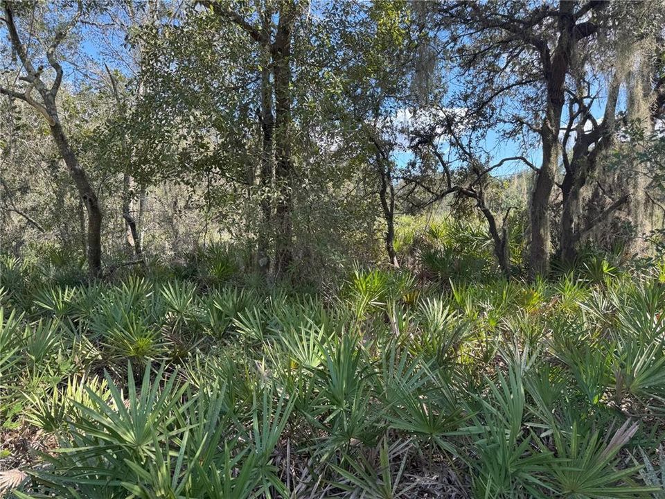 For Sale: $370,000 (20.40 acres)