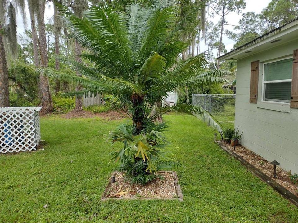 For Sale: $455,000 (3 beds, 2 baths, 1276 Square Feet)