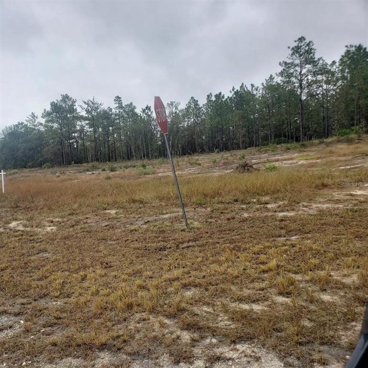 En Venta: $65,000 (0.48 acres)