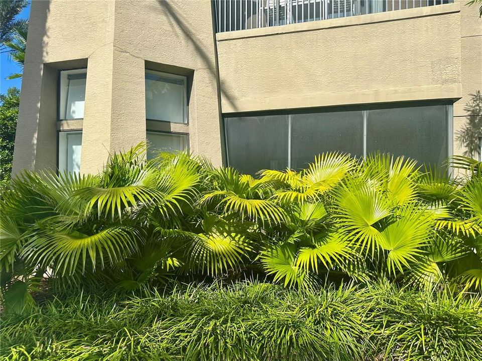 For Sale: $460,000 (3 beds, 3 baths, 1544 Square Feet)