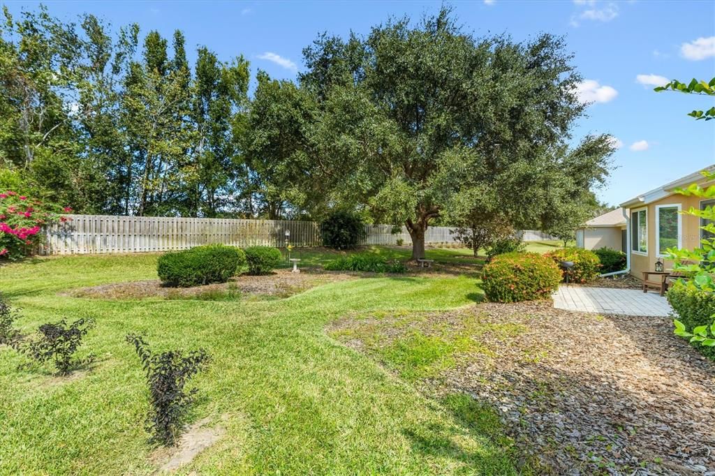 待售: $355,000 (3 贝兹, 2 浴室, 1649 平方英尺)