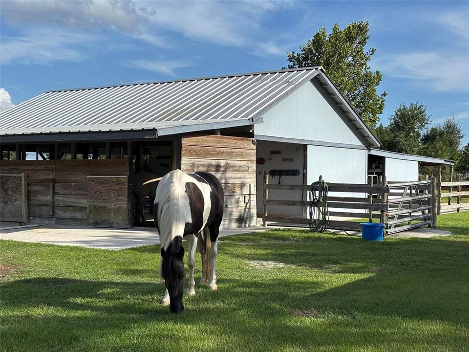 For Sale: $1,100,000 (5 beds, 3 baths, 2261 Square Feet)