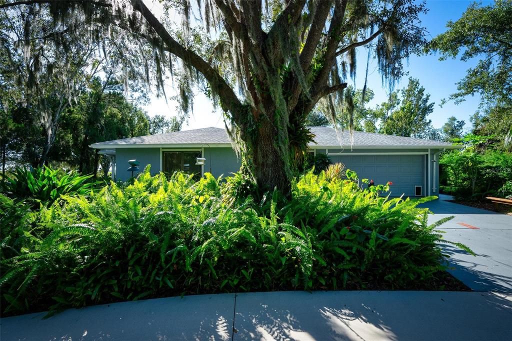 For Sale: $1,100,000 (5 beds, 3 baths, 2261 Square Feet)