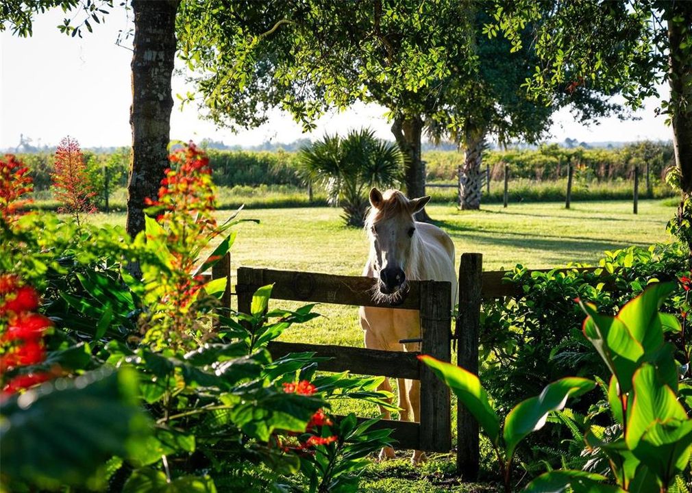 For Sale: $1,100,000 (5 beds, 3 baths, 2261 Square Feet)