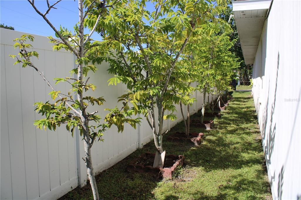 Activo con contrato: $449,000 (4 camas, 3 baños, 1779 Pies cuadrados)