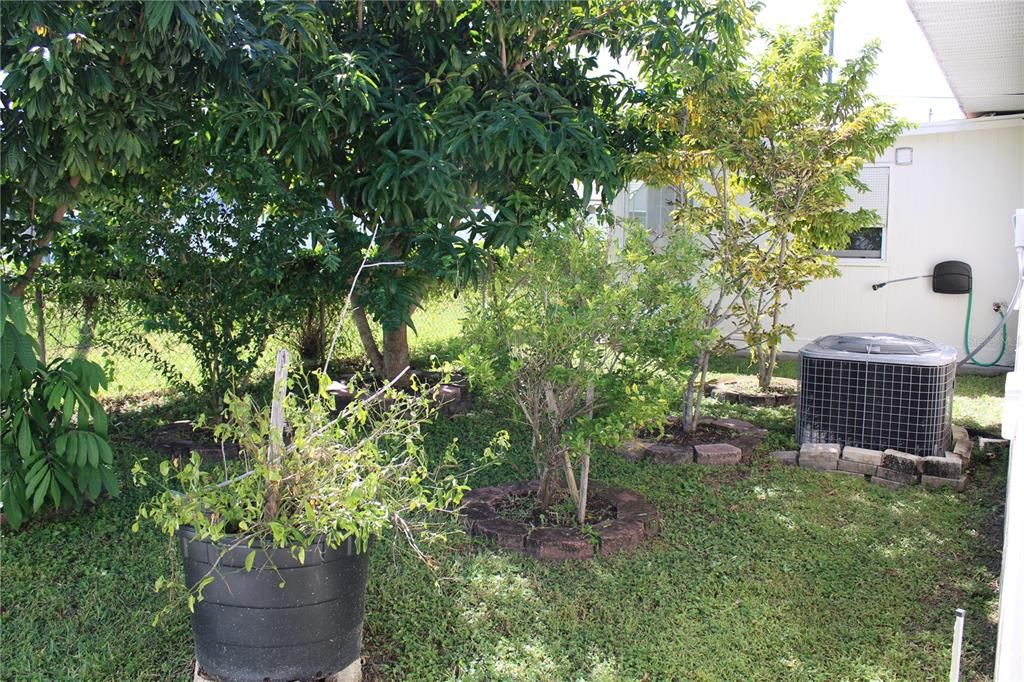 Activo con contrato: $449,000 (4 camas, 3 baños, 1779 Pies cuadrados)