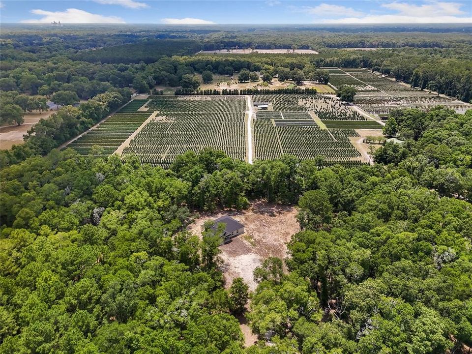 Под контрактом: $575,000 (3 спален, 2 ванн, 2011 Квадратных фут)