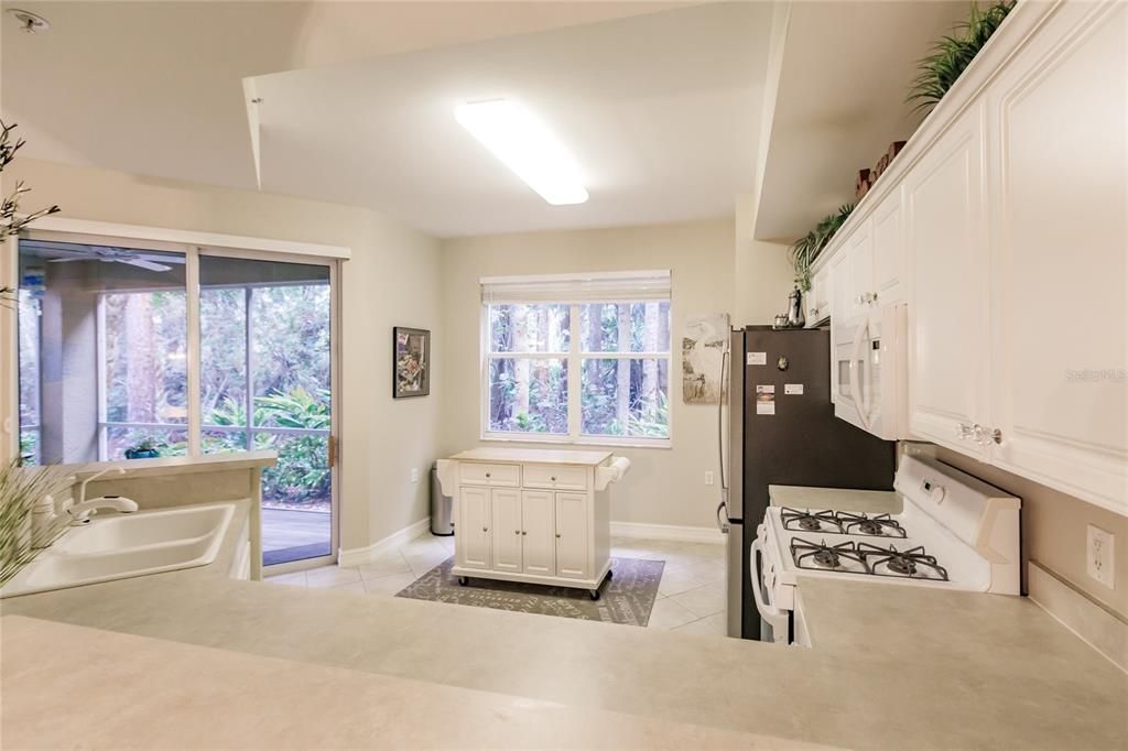 For Sale: $297,400 (2 beds, 2 baths, 1356 Square Feet)